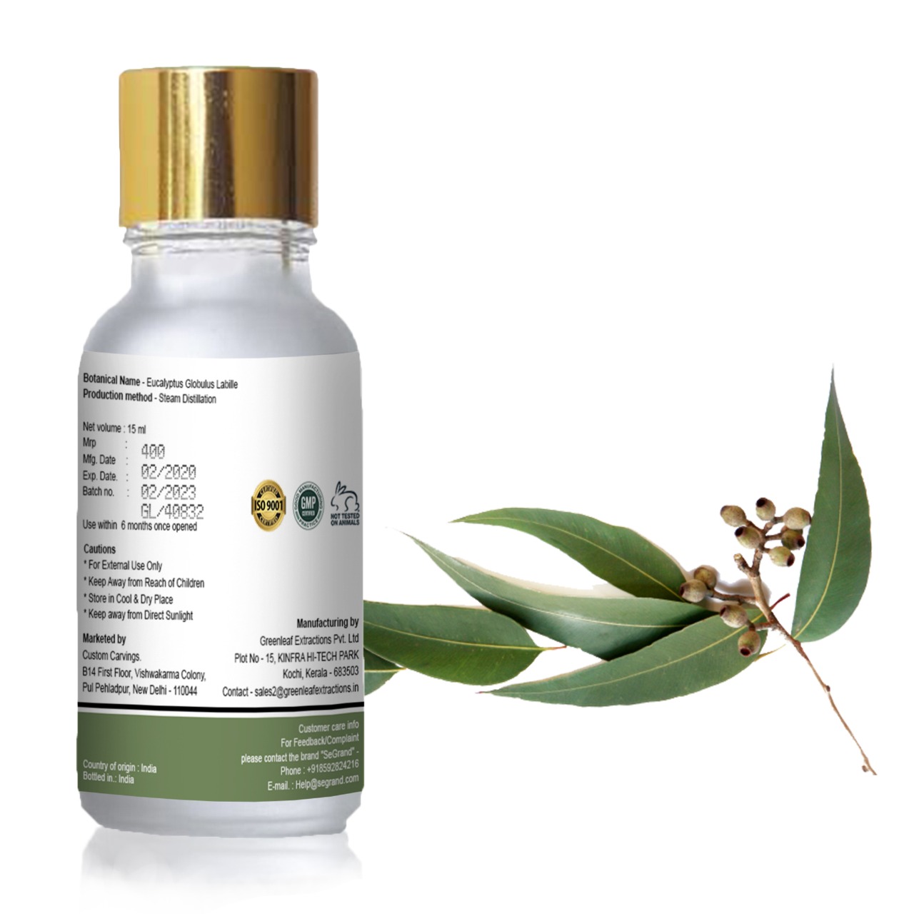 100 pure eucalyptus oil